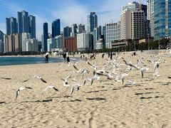 -海云台海滩