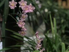 -同庆堂(解放北路店)