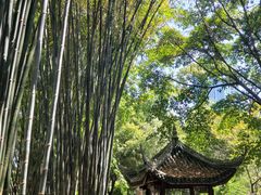 -望江楼公园