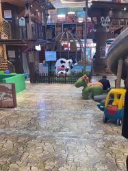 -卡通尼·Safari非洲探索乐园·生日会(金桥国际商业广场店)