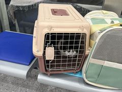 -四月宠物医院·猫专科·心脏专科·内科(转塘店)