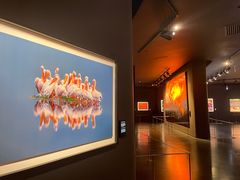 -罗红摄影艺术馆