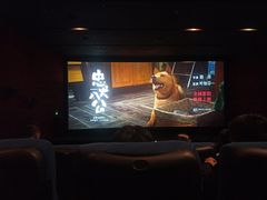 -嘉华国际影城(学清路店)