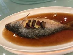 -新加坡泰国村酒楼(五角场店)