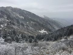 -神农架景区