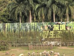 -深圳野生动物园