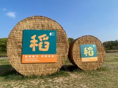 -嘉北郊野公园