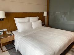 -珠海中海雅高铂尔曼酒店