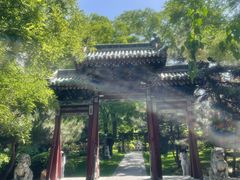 -迎泽公园
