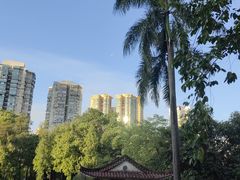 -晓港公园