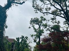 -思南公馆