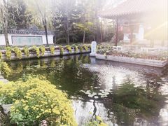 -沈阳植物园
