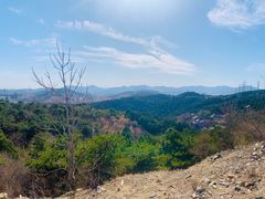 -北京西山国家森林公园