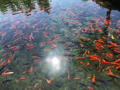 -水磨沟公园