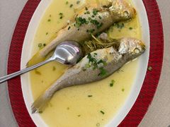 -圆苑(静安寺店)