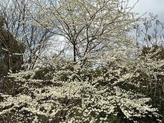 -贵阳市花溪国家城市湿地公园