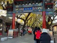 -北京国子监胡同