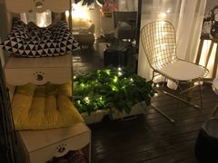 -喵zoo家庭繁育猫舍(尖东智能花园店)