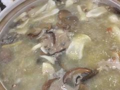 -鸽鸟轩(石岐店)