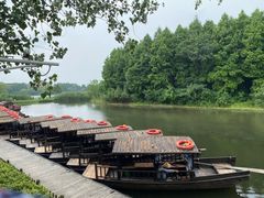 -溱湖国家湿地公园