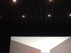 -博纳国际影城IMAX(中央大道店)
