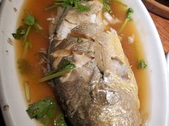 家常烧黄花鱼-前海沿·青岛菜(大拇指广场石老人店)