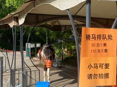 -杭州少年儿童公园