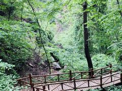 -大岭沟猕猴桃谷风景区