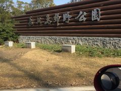 -上海长兴岛郊野公园