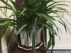 -香满楼(临安路店)