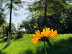 -太子山公园(园东路)