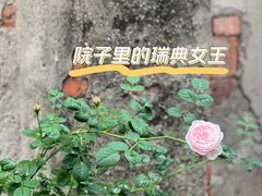 -常州古运河
