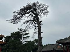-沈阳市东陵公园