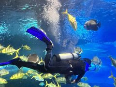 -太平洋海底世界