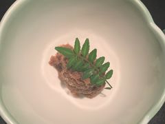 -モリタ屋(JR京都伊势丹店)