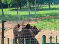-秦皇岛野生动物园
