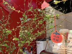 -代数学家algebraist(诚品店)