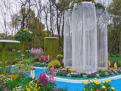 -上海共青森林公园