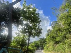 -阳台山自然风景区