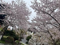 -淹城春秋乐园
