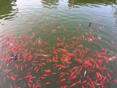 -迎泽公园