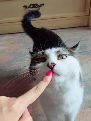 iphone_upload_pic-悦指间美甲美睫