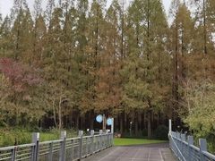 -上海怡沁园度假酒店