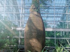 -南山植物园