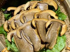 -滇野云南野生菌餐厅(陕西南路店)