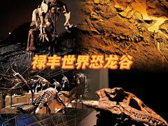 -世界恐龙谷景区