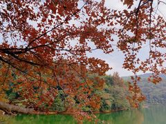 -广州市白云山风景名胜区