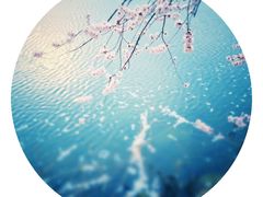 -颐和园