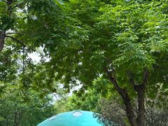 -燕郊植物园