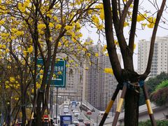 -晓港公园